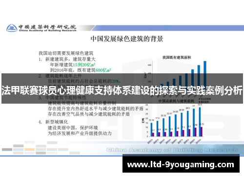 法甲联赛球员心理健康支持体系建设的探索与实践案例分析