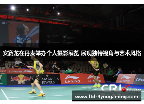 安赛龙在丹麦举办个人摄影展览 展现独特视角与艺术风格