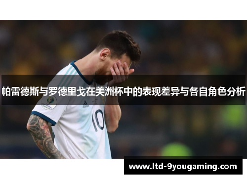 帕雷德斯与罗德里戈在美洲杯中的表现差异与各自角色分析