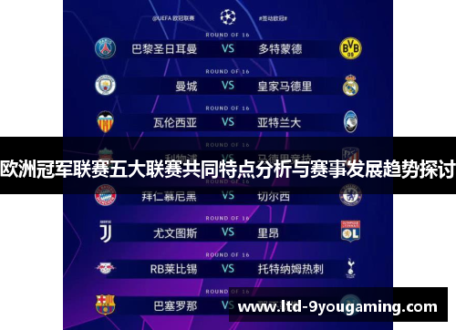 欧洲冠军联赛五大联赛共同特点分析与赛事发展趋势探讨