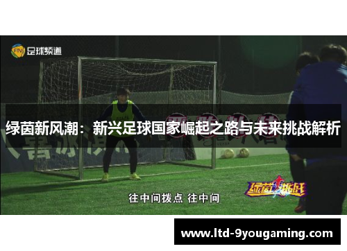 绿茵新风潮：新兴足球国家崛起之路与未来挑战解析