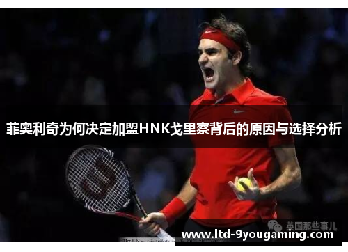 菲奥利奇为何决定加盟HNK戈里察背后的原因与选择分析