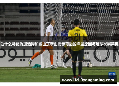 为什么马德鲁加选择加盟山东泰山揭示背后的深层原因与足球发展契机