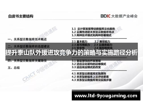 提升泰山队外援进攻竞争力的策略与实施路径分析