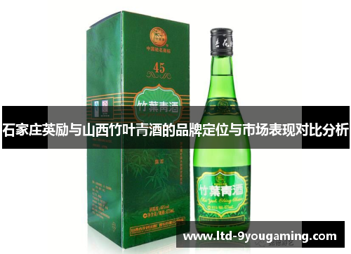石家庄英励与山西竹叶青酒的品牌定位与市场表现对比分析