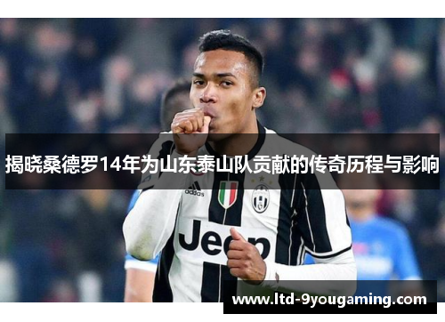 揭晓桑德罗14年为山东泰山队贡献的传奇历程与影响