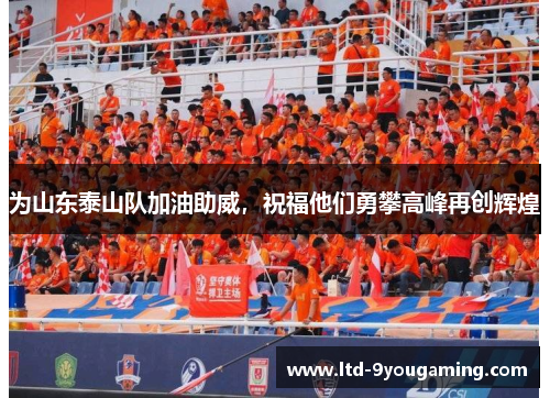 为山东泰山队加油助威，祝福他们勇攀高峰再创辉煌