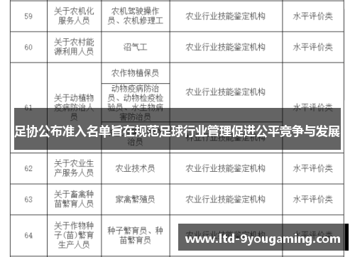 足协公布准入名单旨在规范足球行业管理促进公平竞争与发展 足协公布准入名单旨在规范足球行业管理促进公平竞争与发展