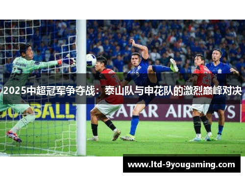 2025中超冠军争夺战：泰山队与申花队的激烈巅峰对决