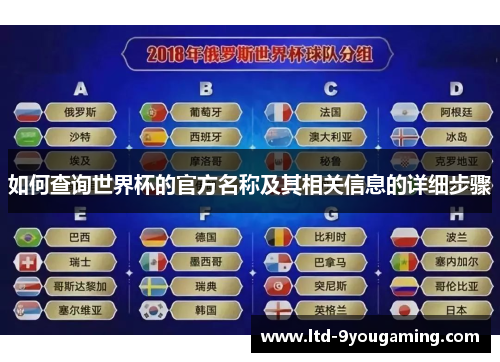 如何查询世界杯的官方名称及其相关信息的详细步骤