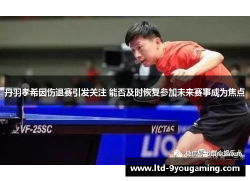 丹羽孝希因伤退赛引发关注 能否及时恢复参加未来赛事成为焦点