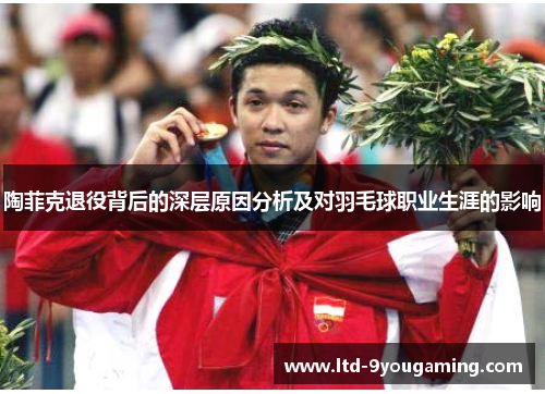 陶菲克退役背后的深层原因分析及对羽毛球职业生涯的影响